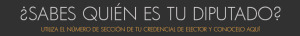 quienestudiputado